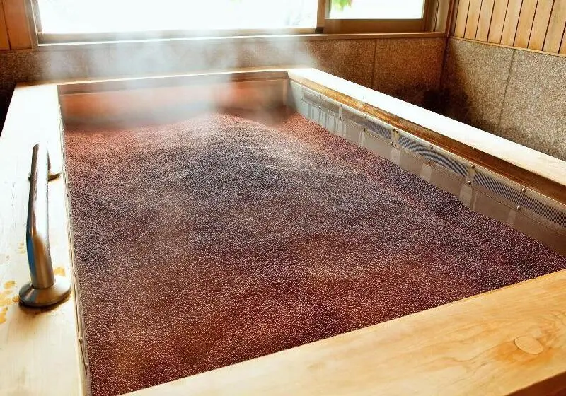 Hotelli Kamedake Onsen Tamaminesansou