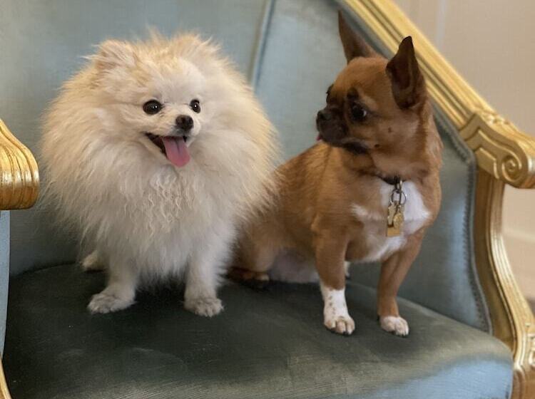 هتل Palazzo Monga Boutique Guesthouse