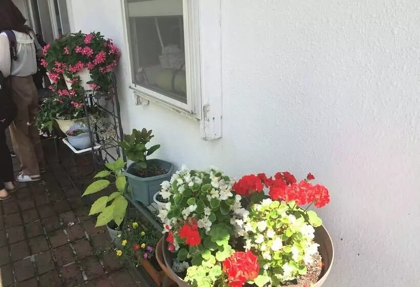 هتل Guest House Vingt Neuf