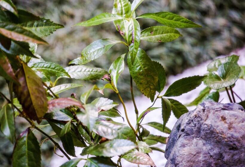 ホテル Four Points Flex By Sheraton Osaka Umeda