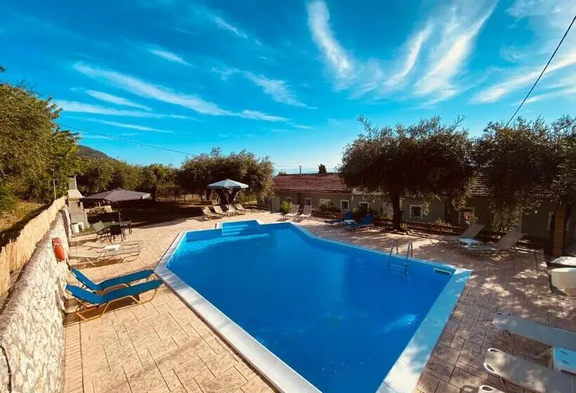 Olive Grove Poolside Apartments