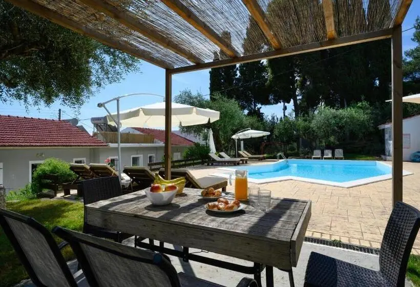 Olive Grove Poolside Apartments
