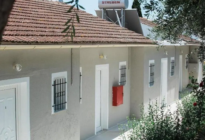 Olive Grove Poolside Apartments