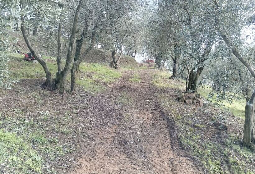 호텔 Agriturismo Campofiorito