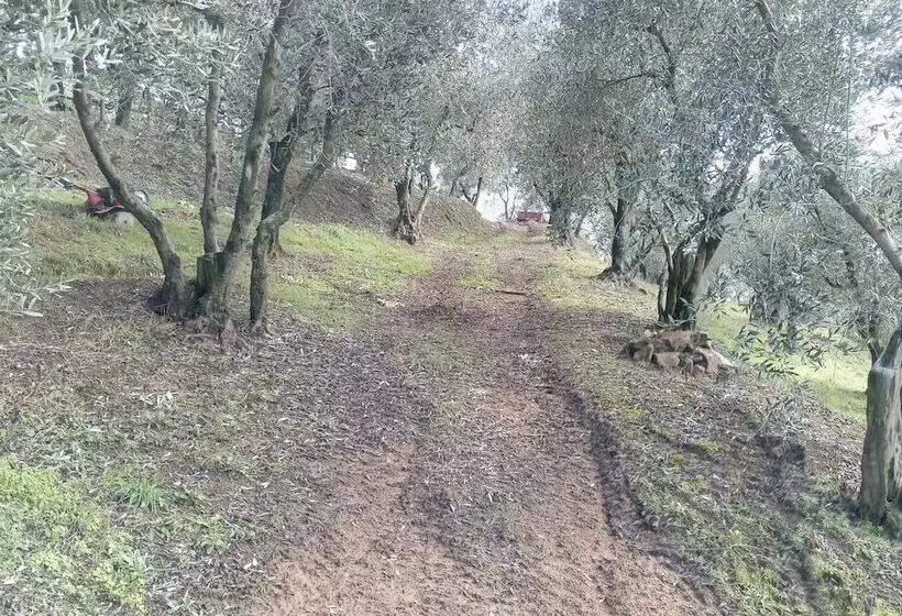 ホテル Agriturismo Campofiorito