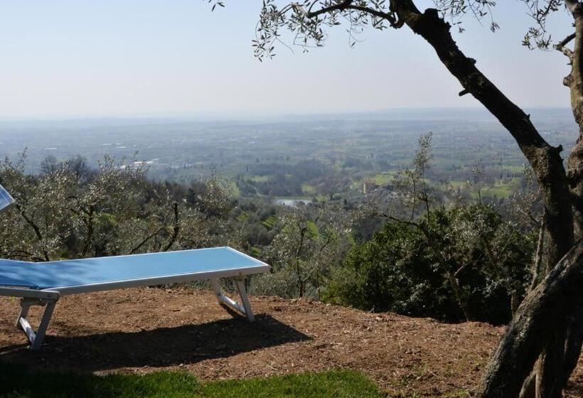 호텔 Agriturismo Campofiorito