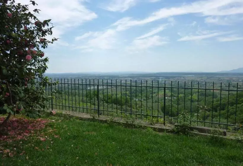 ホテル Agriturismo Campofiorito