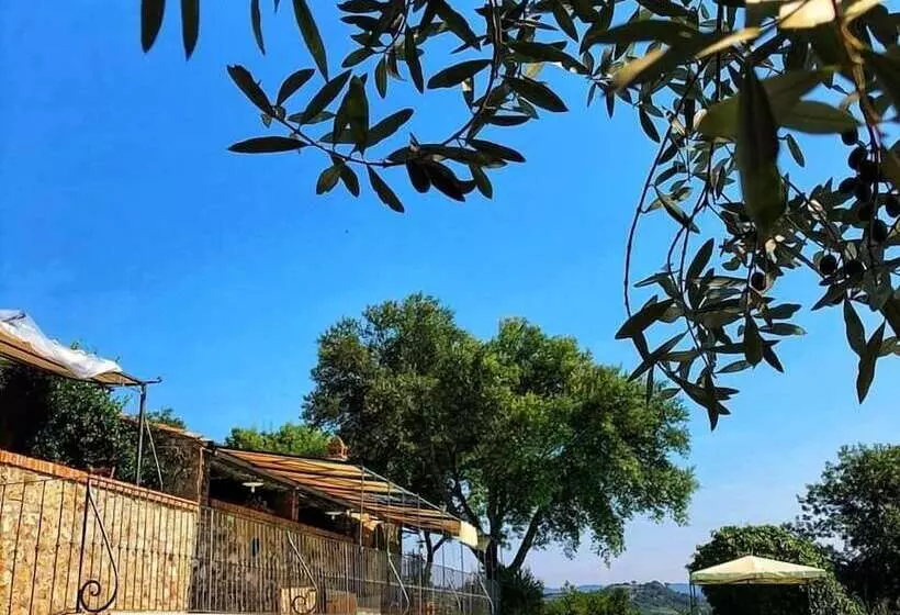 ホテル Agriturismo Piatina
