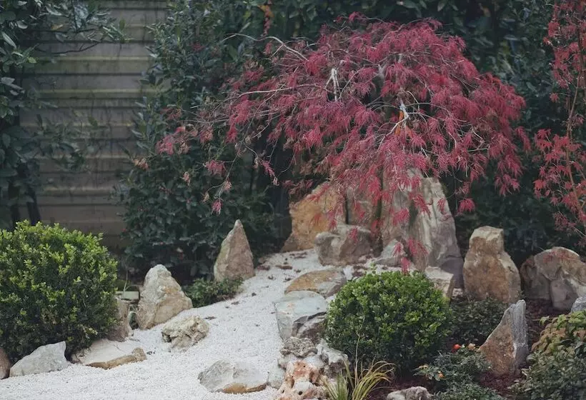 Hotelli B&b Il Faggio Rosso