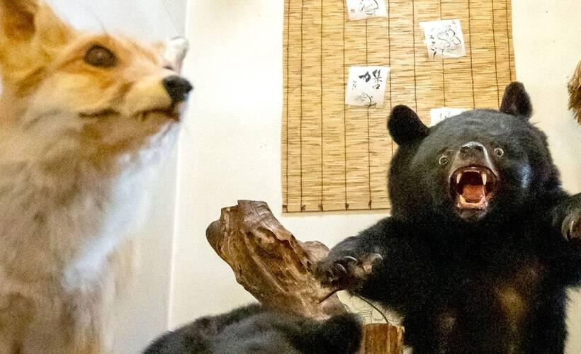 בית מלון כפרי Dake Onsen Yamano