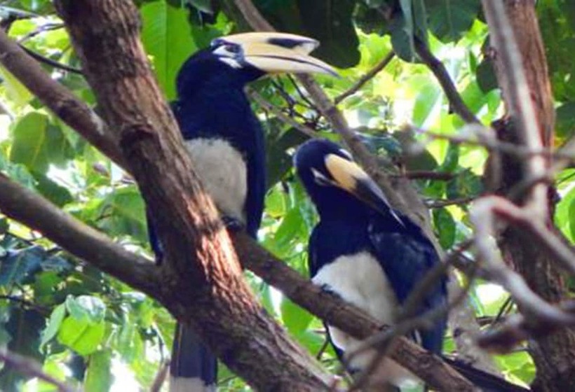 酒店 Jj Beach Resort