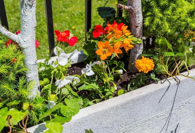 בית מלון כפרי Mccormick Place Guest House