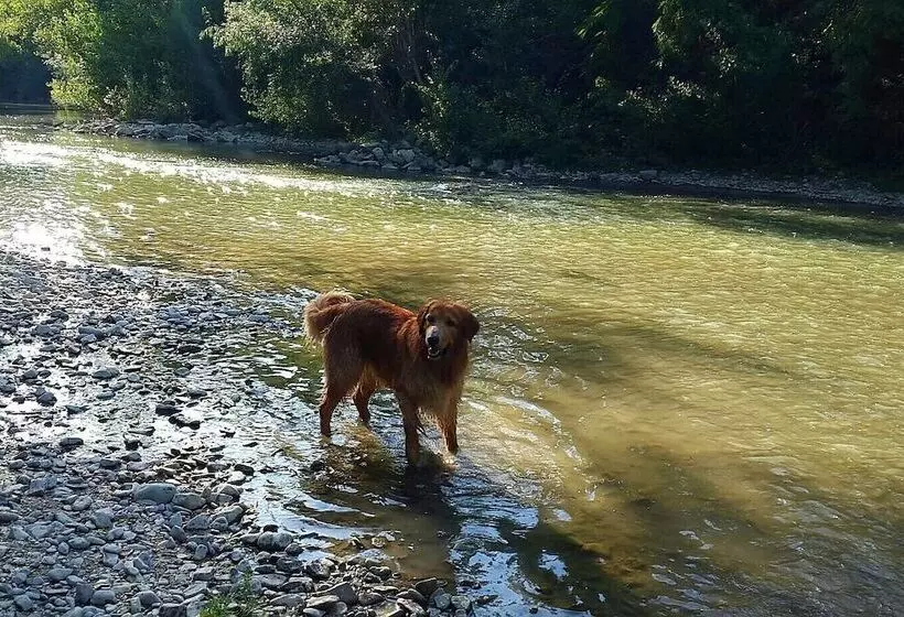 Hotelli River Melody