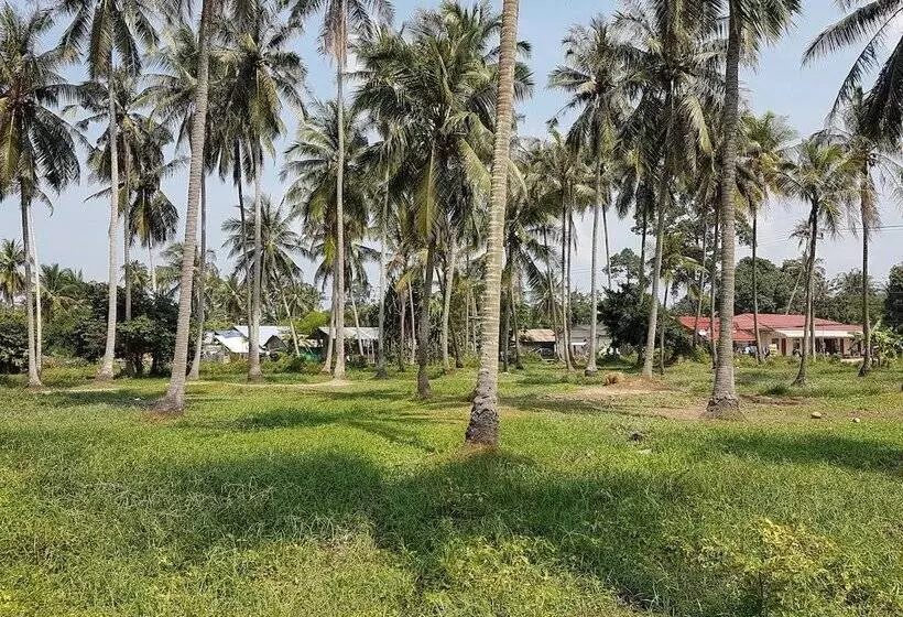 هتل Samui Zenity