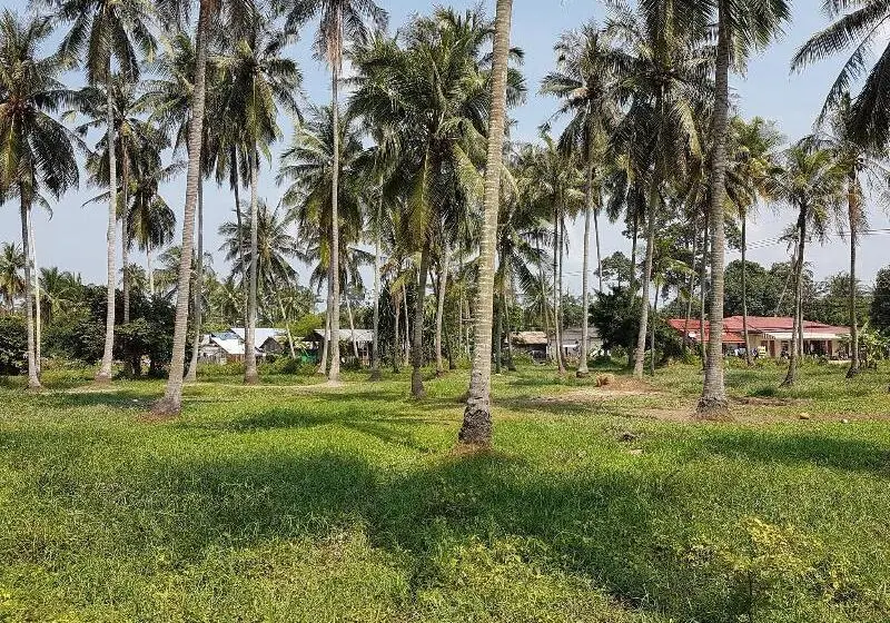 ホテル Samui Zenity