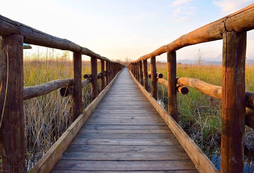 هتل Stella D'italia