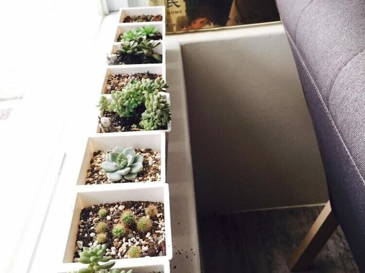 هتل 古栗chestnut Guest House 可包棟民宿