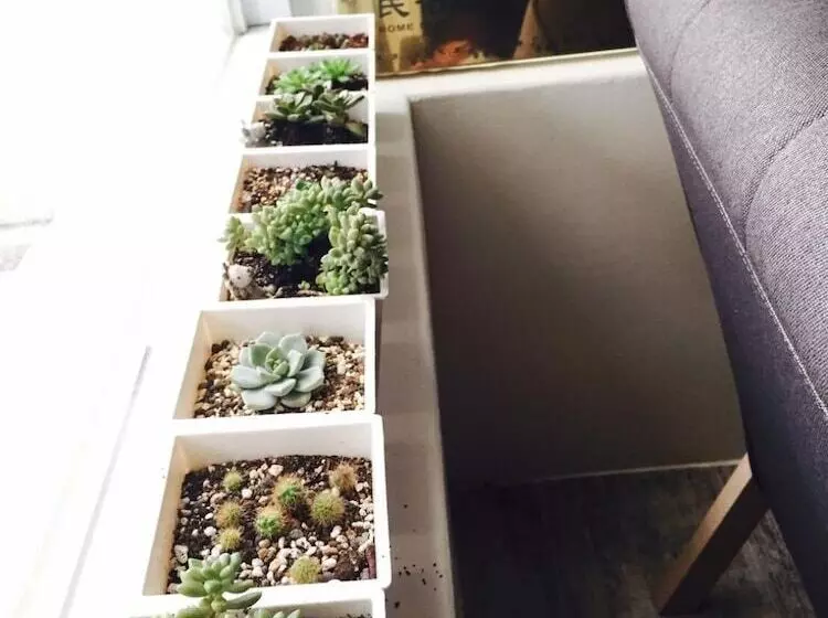 هتل 古栗chestnut Guest House 可包棟民宿