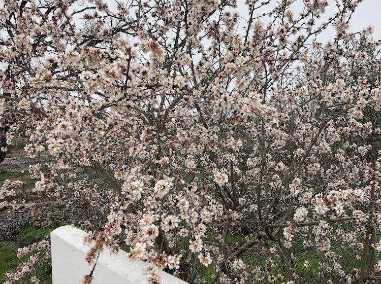 ホテル Loggia Dei Lezzi