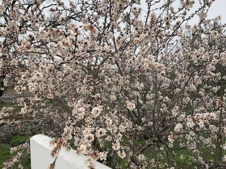 Hotelli Loggia Dei Lezzi