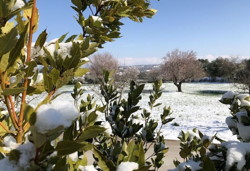 ホテル Loggia Dei Lezzi