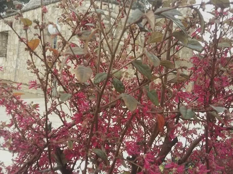 Hotelli Loggia Dei Lezzi