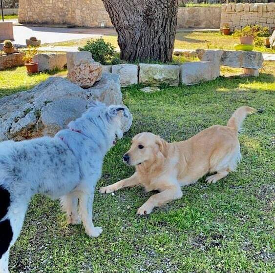 ホテル Loggia Dei Lezzi