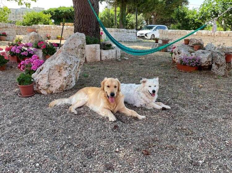 ホテル Loggia Dei Lezzi
