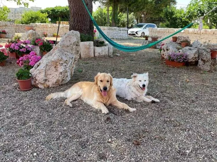 Hotelli Loggia Dei Lezzi