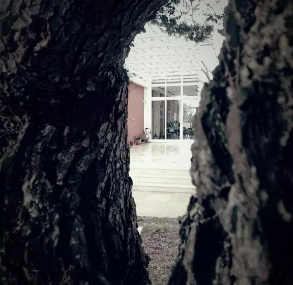 Hotelli Loggia Dei Lezzi