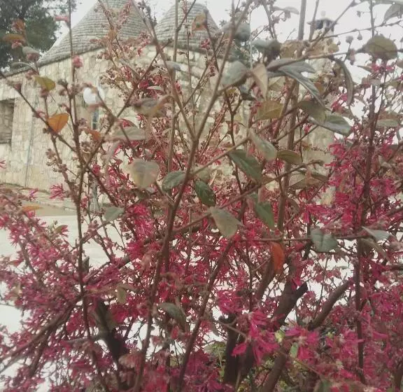 Hotelli Loggia Dei Lezzi