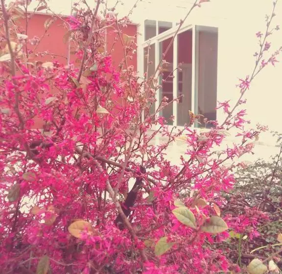 Hotelli Loggia Dei Lezzi