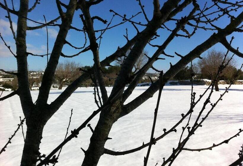 ホテル Loggia Dei Lezzi