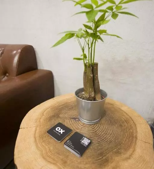 هتل Ox Suites