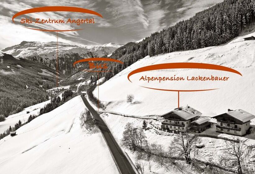 فندق Pension Lackenbauer