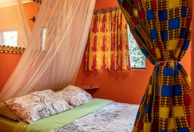 ホテル Victoria Falls Backpackers Zambia