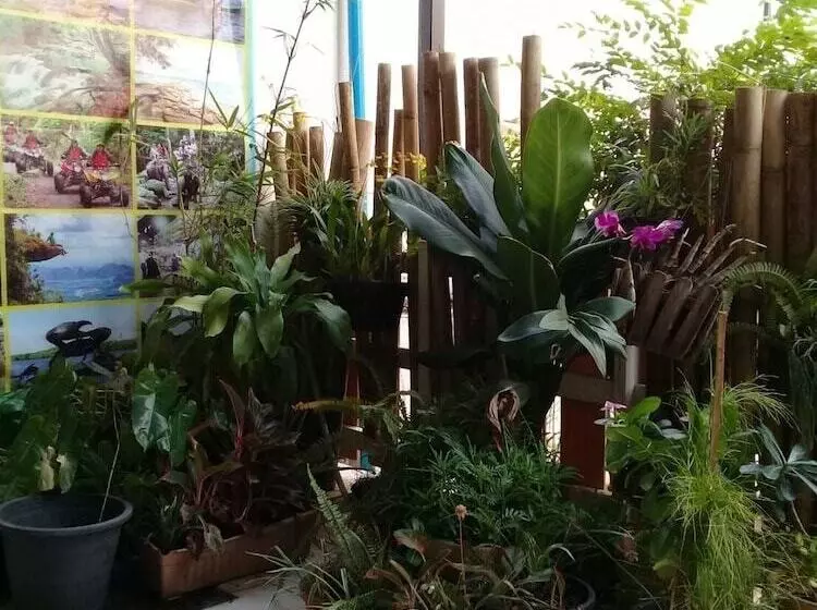 هتل Bamboo Rest House