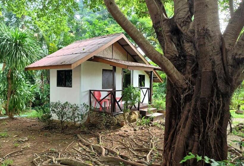 Hotel Faye Orchid Garden Resort