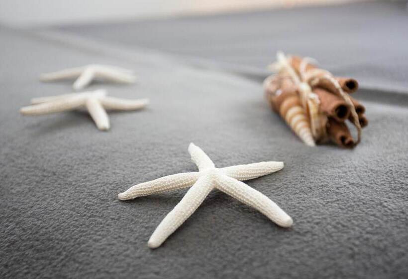 בית מלון כפרי Great Ocean Road Brewhouse Apollo Bay