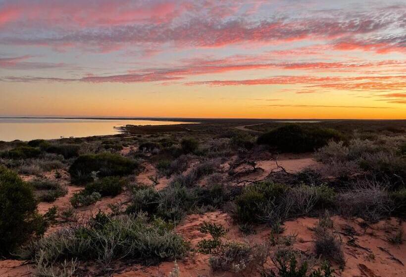 酒店 Shark Bay Seafront Apartments