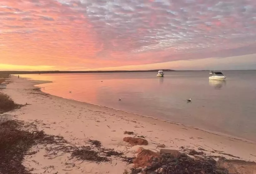 ホテル Shark Bay Seafront Apartments