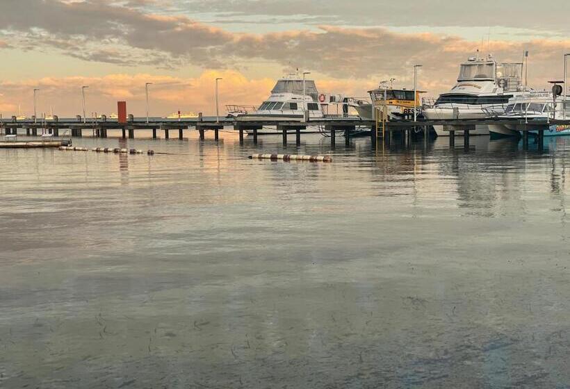 酒店 Shark Bay Seafront Apartments