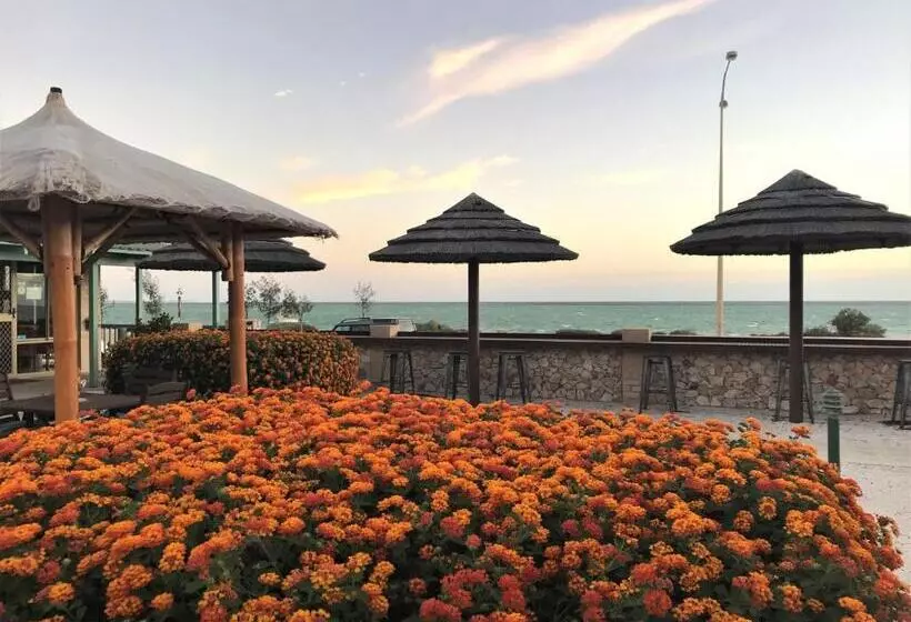 ホテル Shark Bay Seafront Apartments
