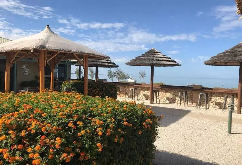 ホテル Shark Bay Seafront Apartments