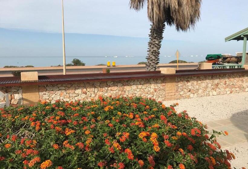 酒店 Shark Bay Seafront Apartments