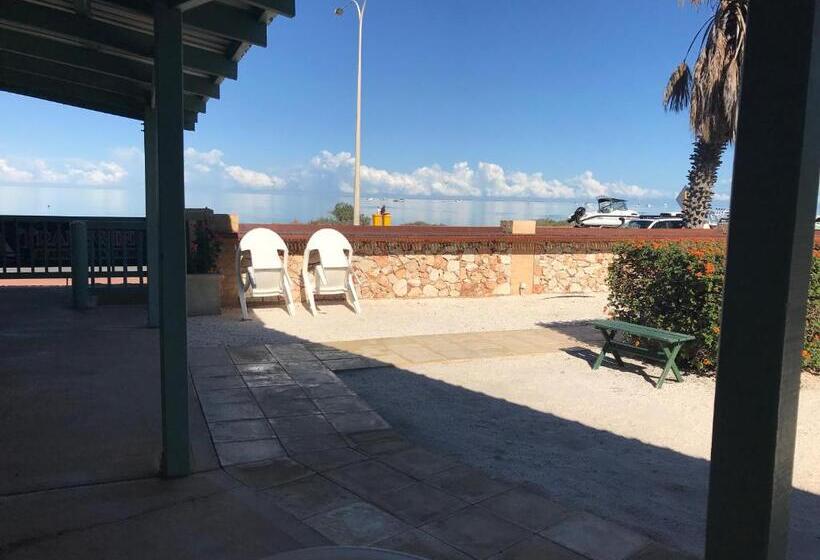 酒店 Shark Bay Seafront Apartments