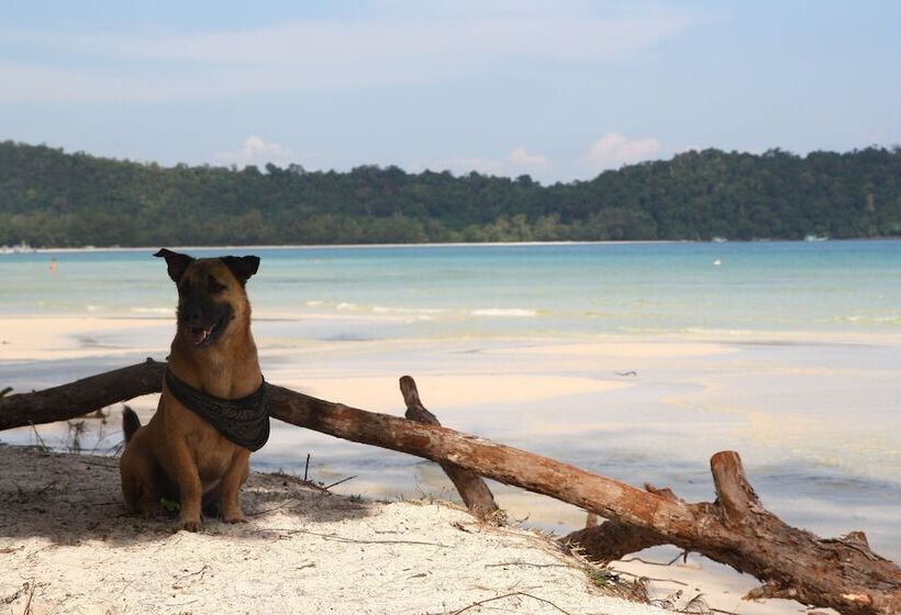 בית מלון כפרי Coco Boutique Resort   Hostel