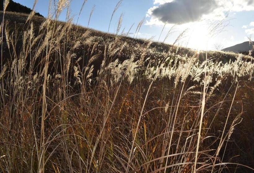 فندق Hakone Guesthouse Gaku