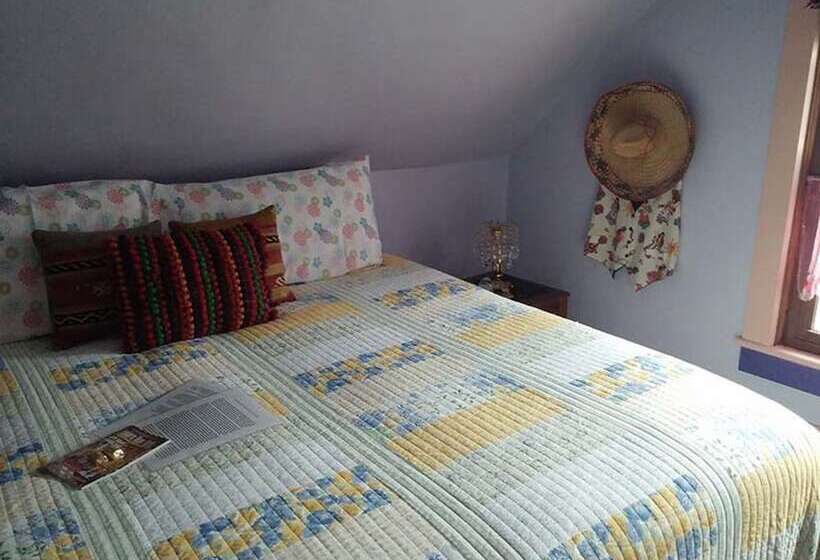 호텔 Oasis Bed And Breakfast