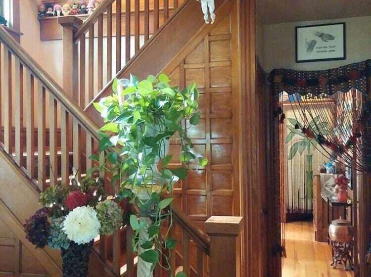 호텔 Oasis Bed And Breakfast